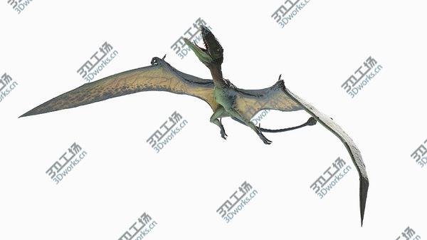 images/goods_img/20210312/Dimorphodon Animated 3D model/5.jpg